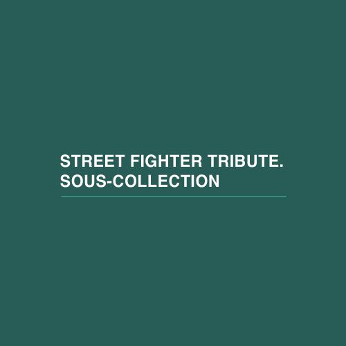 Street Fighter Tribute