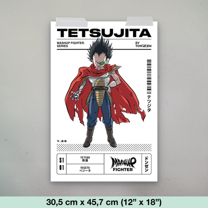 Mashup Fighter – Tetsujita (affiche)