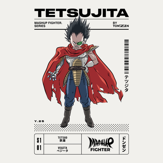 Mashup Fighter – Tetsujita